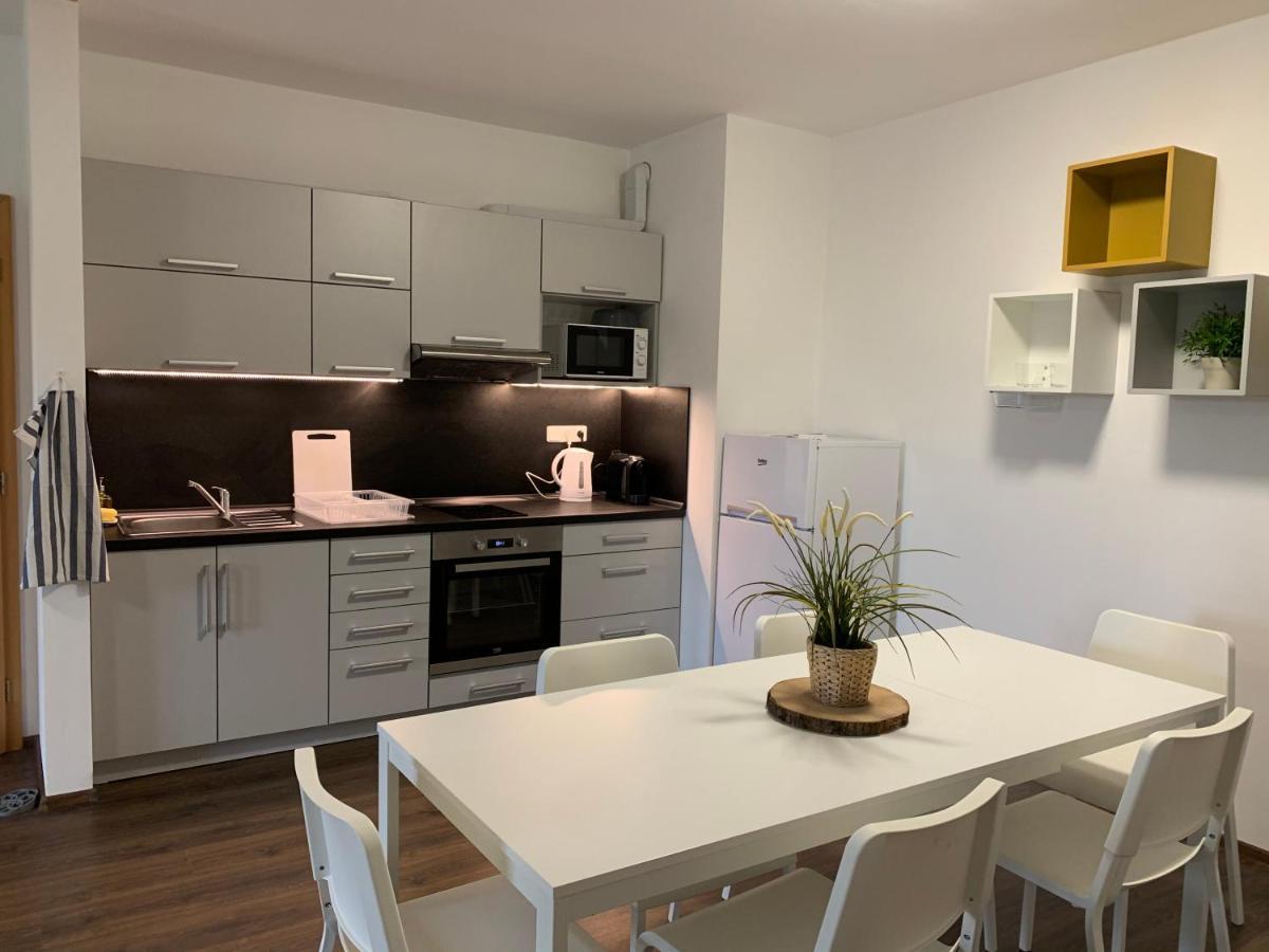 Apartmany Stare-Hory Krkonose Roudnice Exterior photo